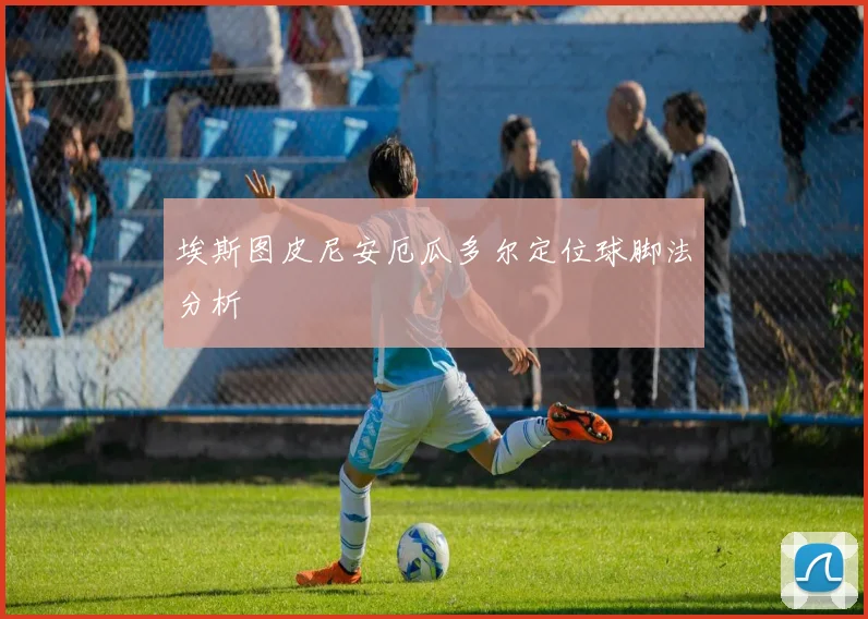 埃斯图皮尼安厄瓜多尔定位球脚法分析